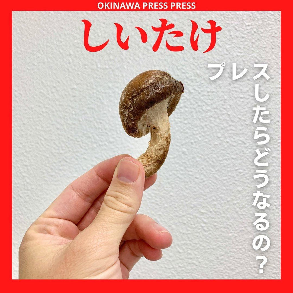椎茸せんべい - 沖縄プレスプレス